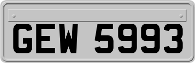 GEW5993