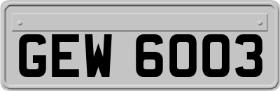 GEW6003