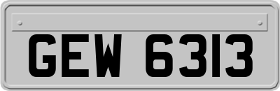 GEW6313