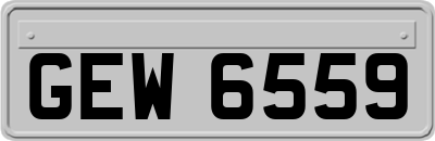 GEW6559