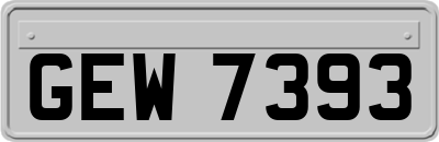 GEW7393