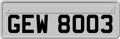 GEW8003