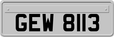 GEW8113