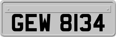 GEW8134