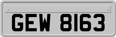 GEW8163