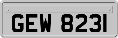 GEW8231
