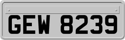 GEW8239