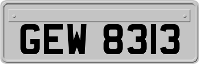 GEW8313