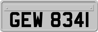 GEW8341