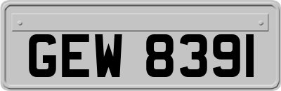GEW8391