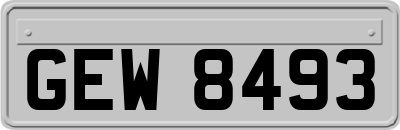 GEW8493