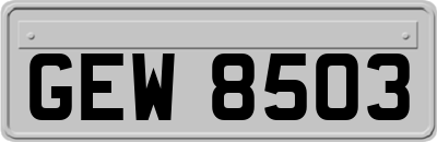 GEW8503