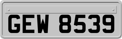 GEW8539