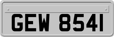 GEW8541