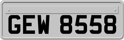 GEW8558