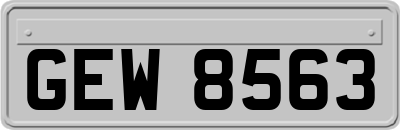 GEW8563