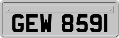 GEW8591