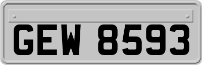 GEW8593