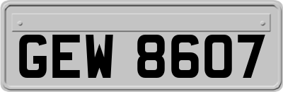 GEW8607