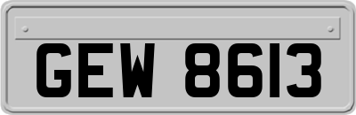 GEW8613