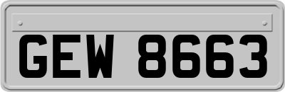 GEW8663