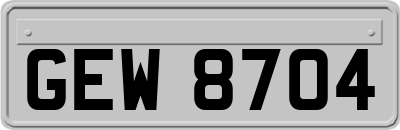 GEW8704