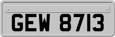 GEW8713