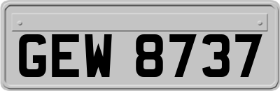 GEW8737