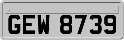 GEW8739