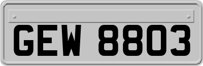 GEW8803