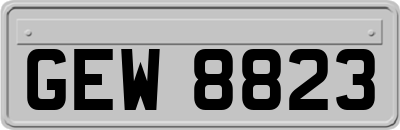 GEW8823