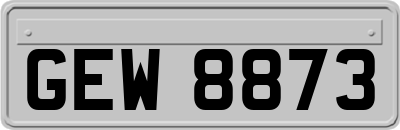 GEW8873