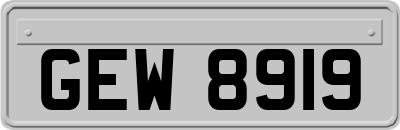 GEW8919