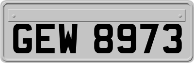 GEW8973