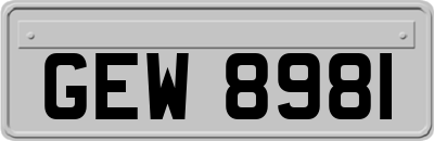 GEW8981