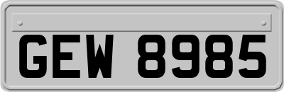 GEW8985