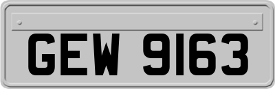 GEW9163
