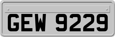 GEW9229