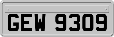 GEW9309