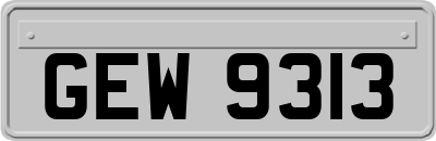 GEW9313