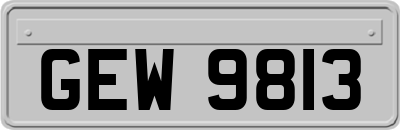 GEW9813