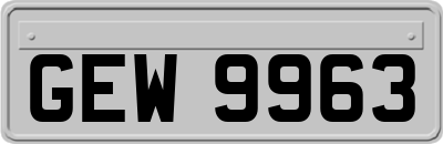 GEW9963