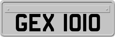 GEX1010