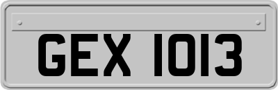 GEX1013