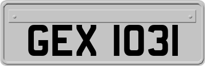 GEX1031