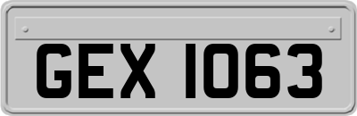 GEX1063