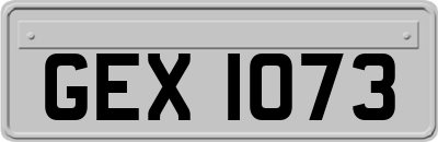 GEX1073