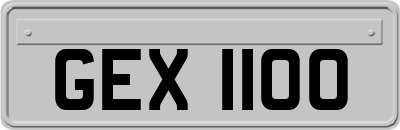 GEX1100