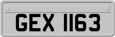 GEX1163