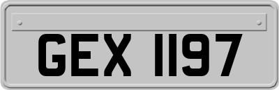 GEX1197